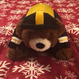 Pittsburg Steelers pillow pet.